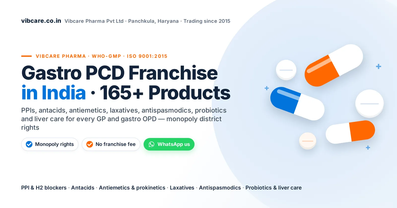 Gastro PCD franchise in India – Vibcare Pharma, 165+ gastroenterology products, monopoly rights, no franchise fee