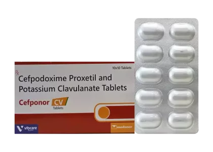 CEFPONOR CV